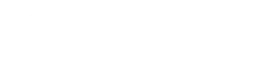 logoipsum-213.png